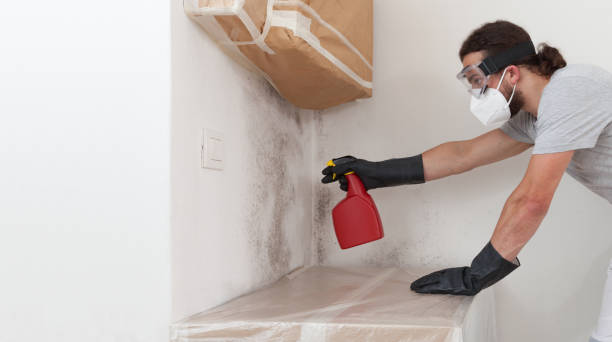 Professional Mold Testing technician working in North Port, FL