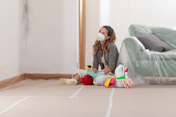 Reliable Mold Testing contractor in North Port, FL by WQB Mold Removal